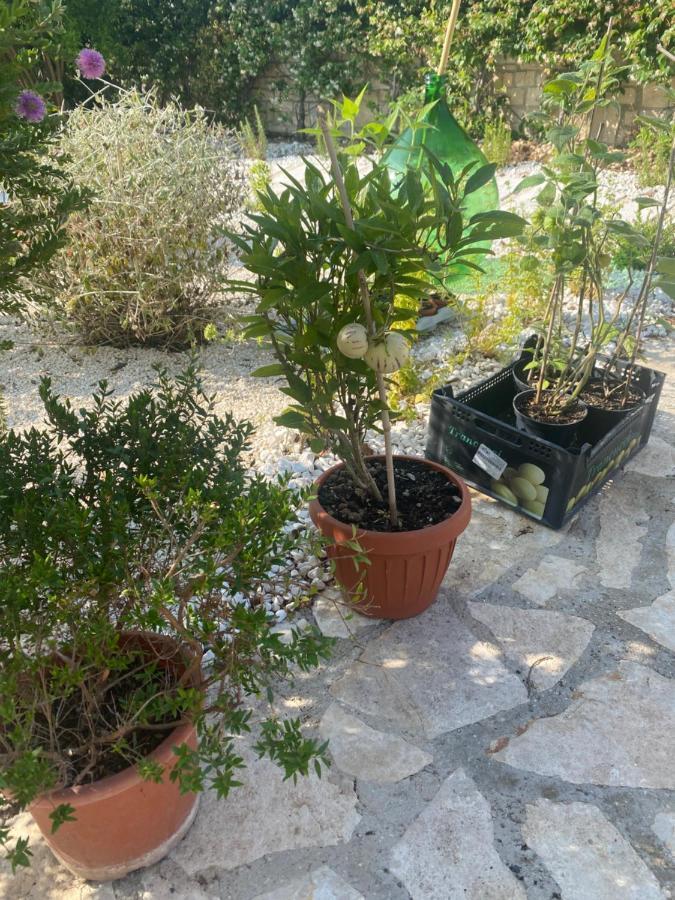 Apulia Casa E Cucina Bed & Breakfast Трани Екстериор снимка